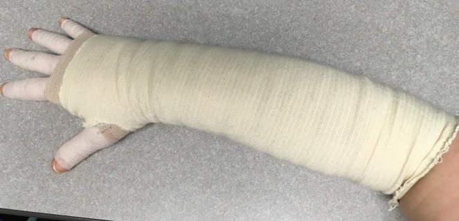 2017-01-05 13.32.50.jpg